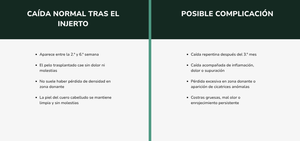 ¿Es normal que se caiga el pelo después de un injerto capilar (5)
