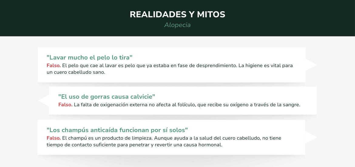 Alopecia androgénica_ qué es y tratamientos más efectivos - 5